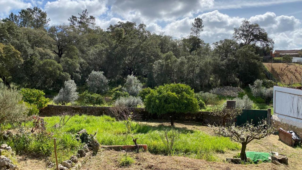 Casalinho In Portugal Country House Томар Экстерьер фото